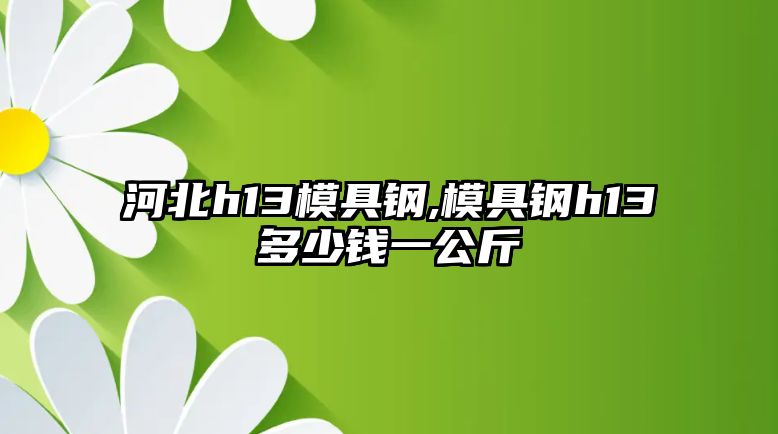 河北h13模具鋼,模具鋼h13多少錢一公斤