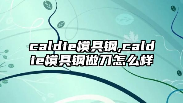 caldie模具鋼,caldie模具鋼做刀怎么樣