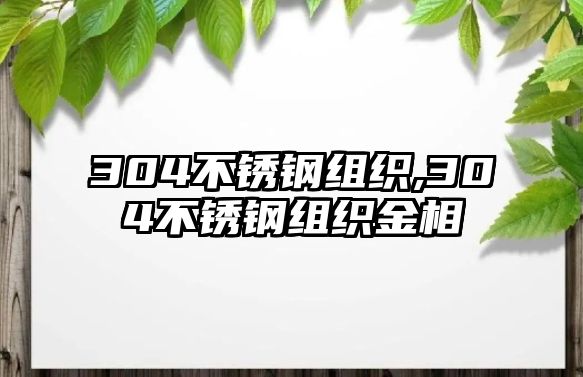 304不銹鋼組織,304不銹鋼組織金相