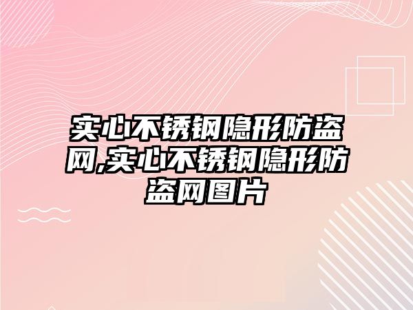 實心不銹鋼隱形防盜網(wǎng),實心不銹鋼隱形防盜網(wǎng)圖片