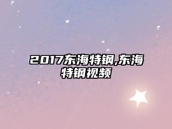 2017東海特鋼,東海特鋼視頻