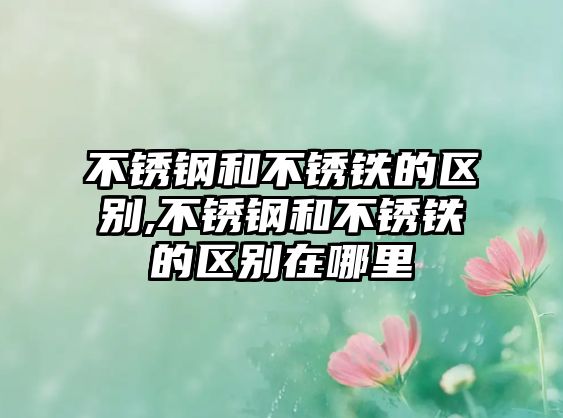 不銹鋼和不銹鐵的區(qū)別,不銹鋼和不銹鐵的區(qū)別在哪里