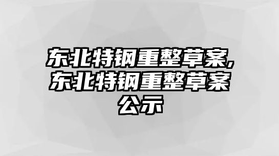 東北特鋼重整草案,東北特鋼重整草案公示