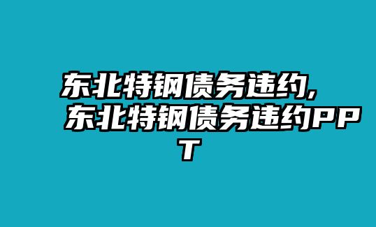 東北特鋼債務違約,東北特鋼債務違約PPT