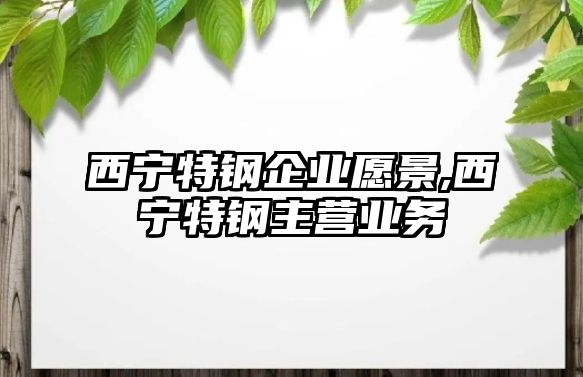 西寧特鋼企業(yè)愿景,西寧特鋼主營業(yè)務