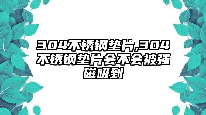 304不銹鋼墊片,304不銹鋼墊片會不會被強磁吸到