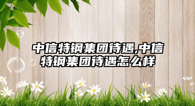 中信特鋼集團待遇,中信特鋼集團待遇怎么樣