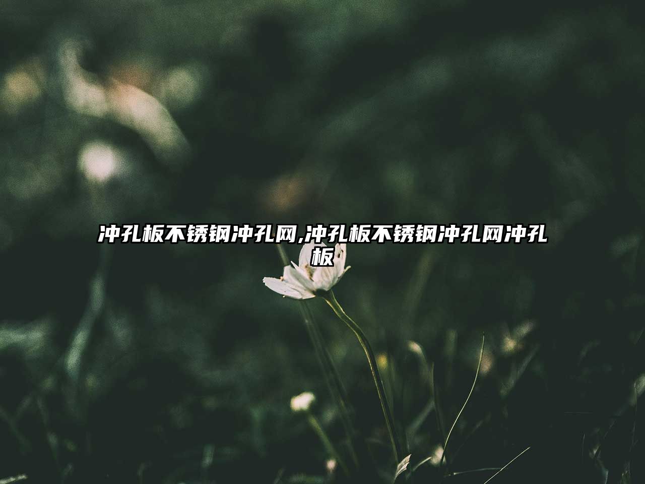 沖孔板不銹鋼沖孔網(wǎng),沖孔板不銹鋼沖孔網(wǎng)沖孔板