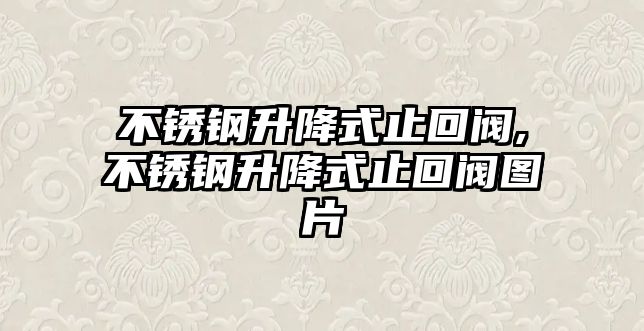 不銹鋼升降式止回閥,不銹鋼升降式止回閥圖片