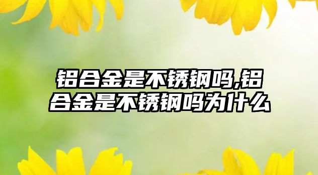 鋁合金是不銹鋼嗎,鋁合金是不銹鋼嗎為什么