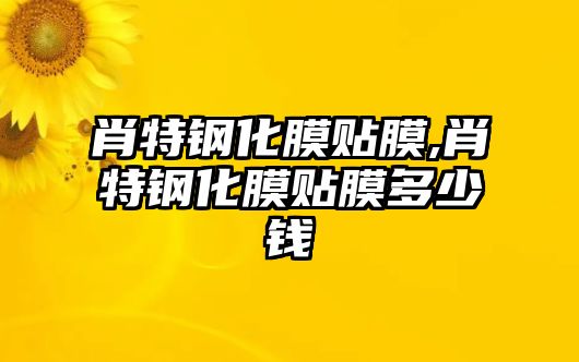 肖特鋼化膜貼膜,肖特鋼化膜貼膜多少錢