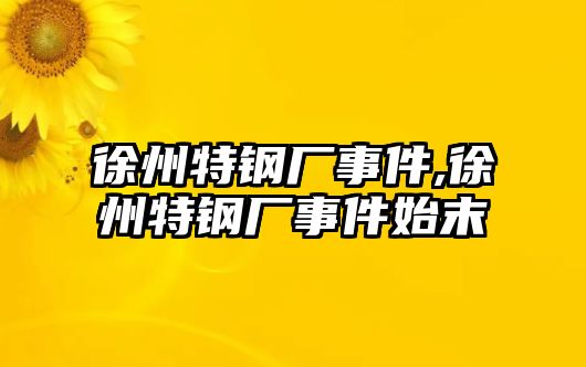 徐州特鋼廠事件,徐州特鋼廠事件始末