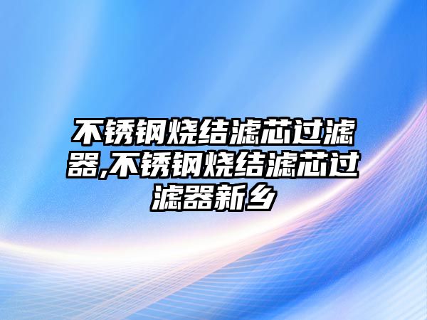 不銹鋼燒結(jié)濾芯過(guò)濾器,不銹鋼燒結(jié)濾芯過(guò)濾器新鄉(xiāng)