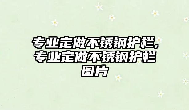 專業(yè)定做不銹鋼護欄,專業(yè)定做不銹鋼護欄圖片