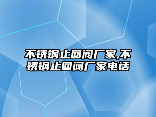 不銹鋼止回閥廠家,不銹鋼止回閥廠家電話