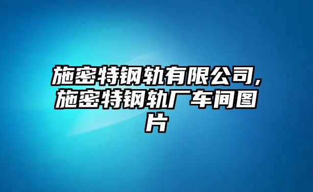 施密特鋼軌有限公司,施密特鋼軌廠車間圖片