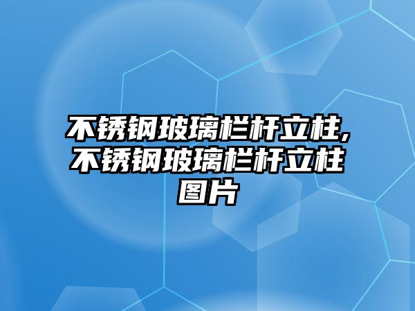 不銹鋼玻璃欄桿立柱,不銹鋼玻璃欄桿立柱圖片