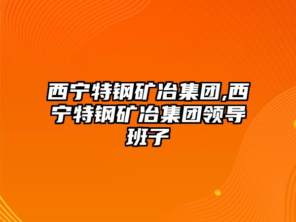 西寧特鋼礦冶集團(tuán),西寧特鋼礦冶集團(tuán)領(lǐng)導(dǎo)班子