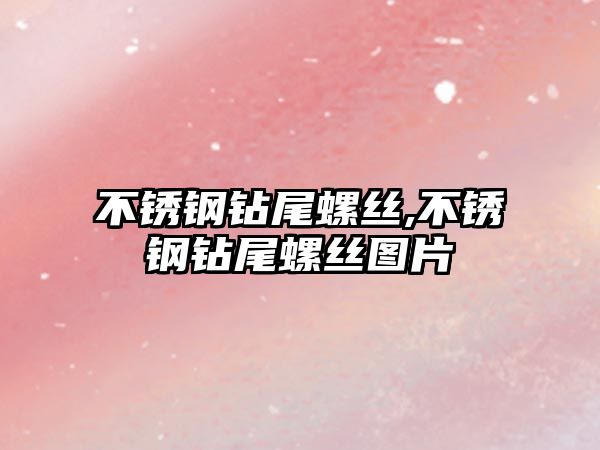 不銹鋼鉆尾螺絲,不銹鋼鉆尾螺絲圖片