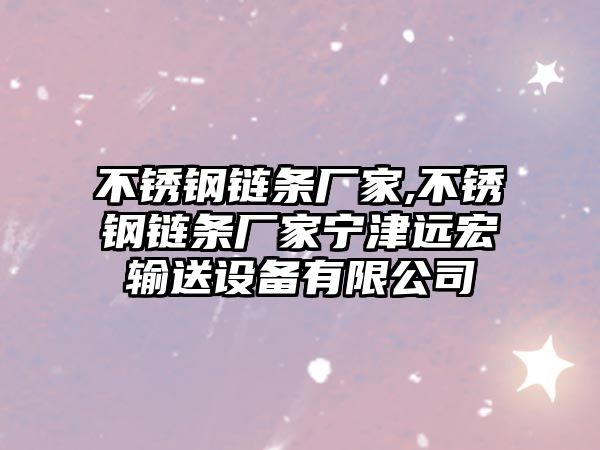 不銹鋼鏈條廠家,不銹鋼鏈條廠家寧津遠(yuǎn)宏輸送設(shè)備有限公司