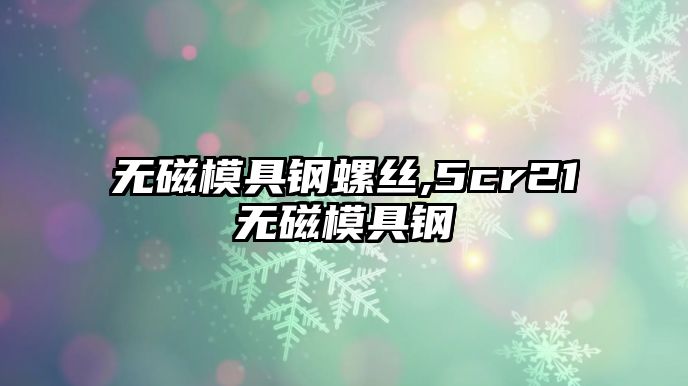 無磁模具鋼螺絲,5cr21無磁模具鋼