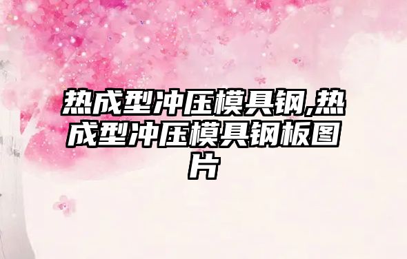 熱成型沖壓模具鋼,熱成型沖壓模具鋼板圖片