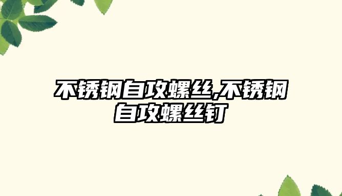 不銹鋼自攻螺絲,不銹鋼自攻螺絲釘