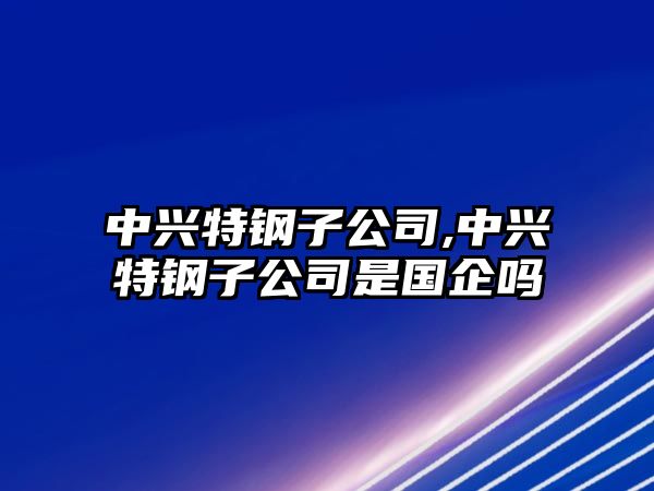 中興特鋼子公司,中興特鋼子公司是國企嗎