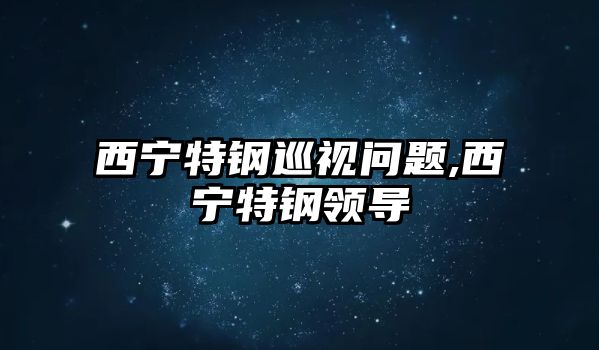 西寧特鋼巡視問(wèn)題,西寧特鋼領(lǐng)導(dǎo)