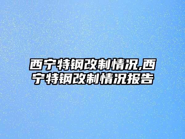 西寧特鋼改制情況,西寧特鋼改制情況報(bào)告