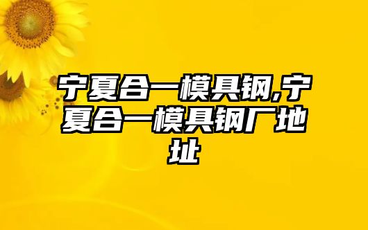 寧夏合一模具鋼,寧夏合一模具鋼廠地址