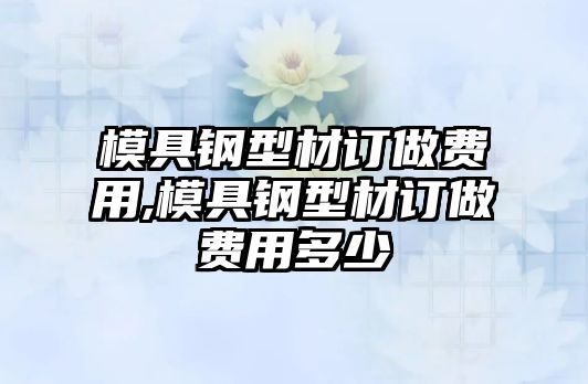 模具鋼型材訂做費(fèi)用,模具鋼型材訂做費(fèi)用多少