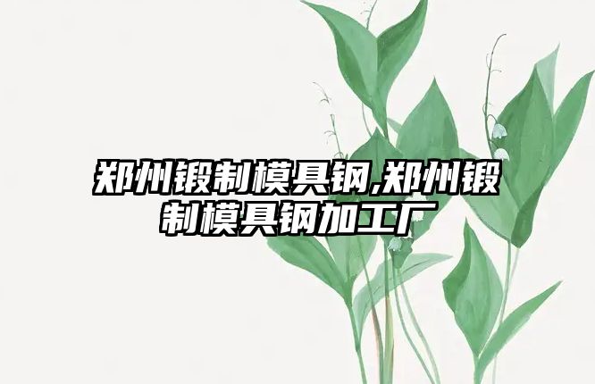 鄭州鍛制模具鋼,鄭州鍛制模具鋼加工廠