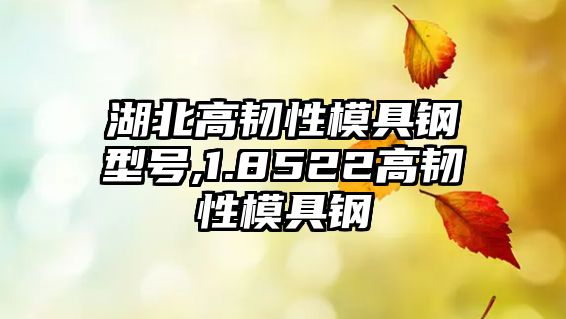 湖北高韌性模具鋼型號(hào),1.8522高韌性模具鋼