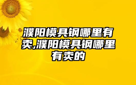 濮陽模具鋼哪里有賣,濮陽模具鋼哪里有賣的