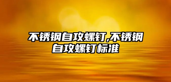 不銹鋼自攻螺釘,不銹鋼自攻螺釘標準