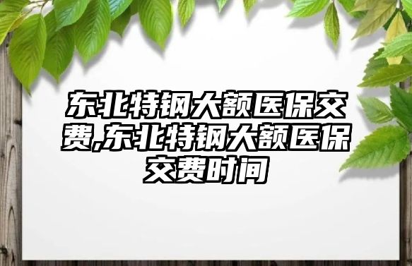 東北特鋼大額醫(yī)保交費,東北特鋼大額醫(yī)保交費時間