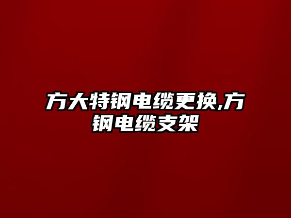 方大特鋼電纜更換,方鋼電纜支架