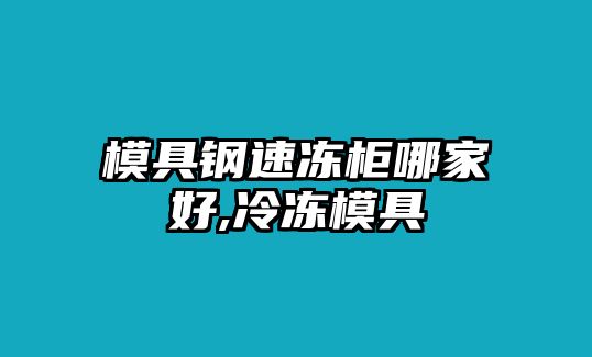 模具鋼速凍柜哪家好,冷凍模具